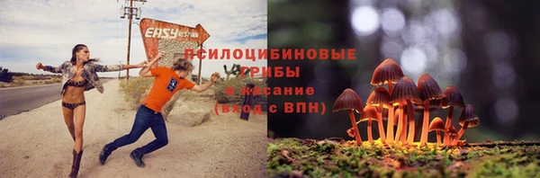 spice Алексеевка