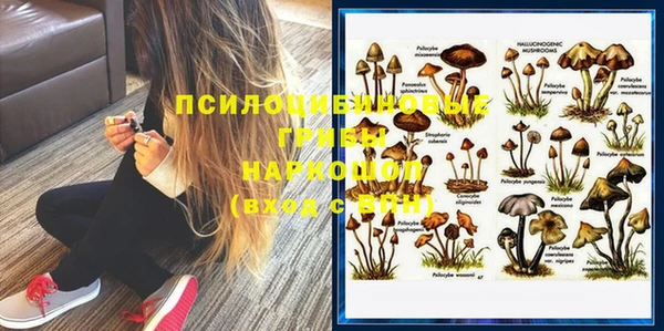 скорость Алзамай