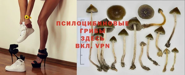 герыч Алексин
