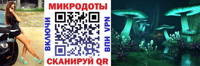 Галлюциногенные грибы Psilocybe Арамиль